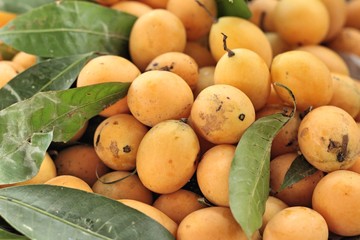 Marian plum fruit - asia fruit