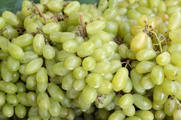 Green grapes