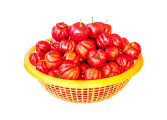 acerola fruit