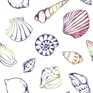 Sea shells vector white colorful seamless pattern
