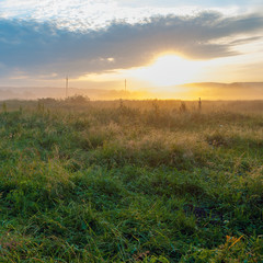 sunrise field