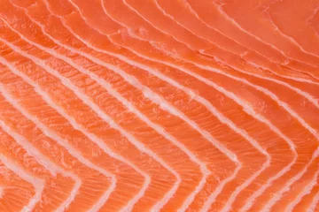 Close up of salmon fillet.