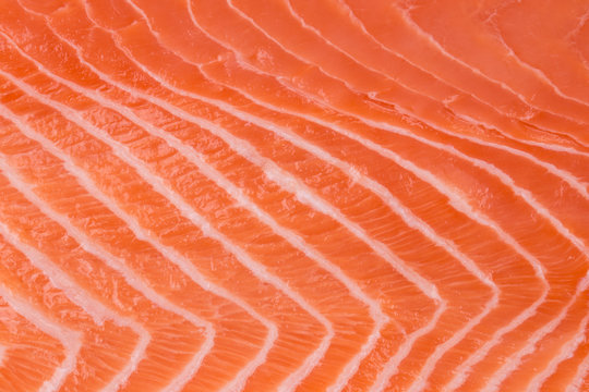 Close up of salmon fillet.