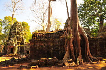 Angkor Ta Prohm Temple in Cambodia