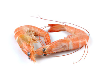 shrimp isolated on white background
