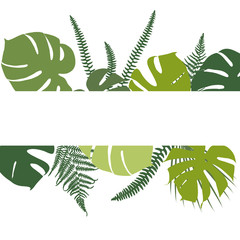 Tropical background. Banner with ferns and monsteras.
