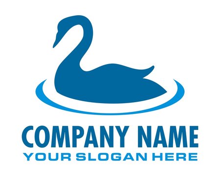 blue swan logo image vector