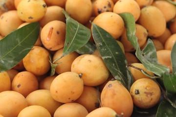 Marian plum fruit - asia fruit