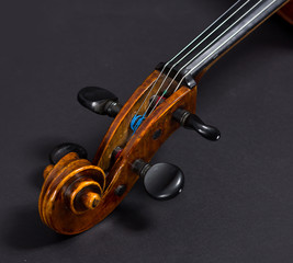 Old cello on a black background. cello © rubchikova