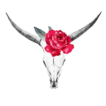 Bull skull watercolor