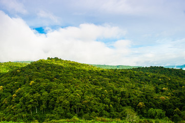 Fototapeta premium Green mountain in thailand.