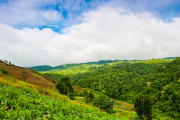 Green mountain in thailand.
