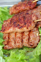 Bar-B-Q or BBQ grill of meat