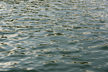 surface of the water