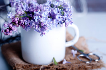 Bouquet of purple lilac spring flowers