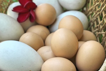 easter eggs and white eggs vintage style