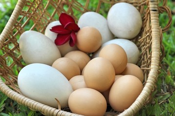 easter eggs and white eggs vintage style