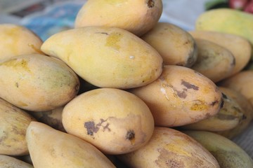 Ripe mango