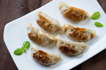 Close-up of japanese traditional pan fried gyoza dumplings