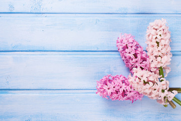 Background with fresh flowers