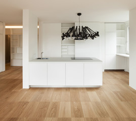 Architecture, domestic kitchen view