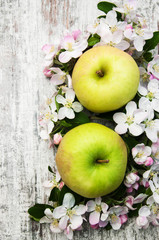 apples  and apple tree blossoms