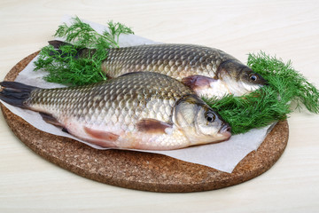 Two crucian
