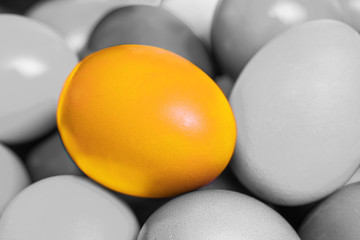 Golden Easter Egg Different From The Crowd Concept