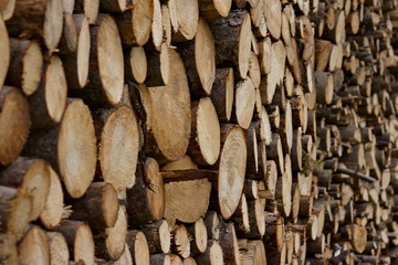 firewood