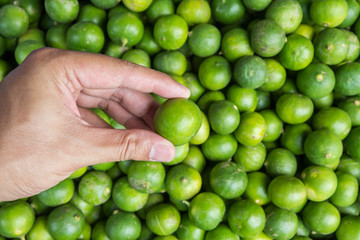 Hand holding lime at market,Thailand