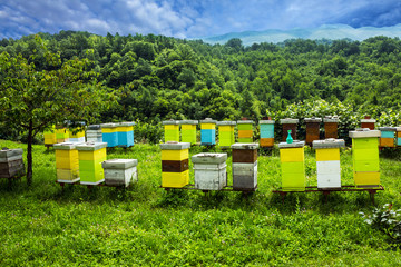 Fototapety na wymiar - Fototapeta24.pl