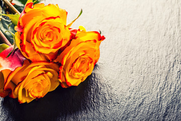 Roses Orange rose. Yellow rose. Several orange roses 