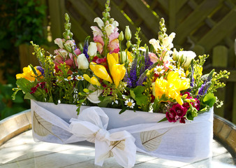 Sommerblumen
