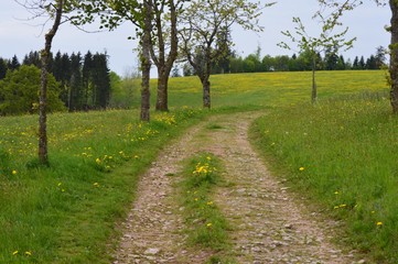 alte Poststraße