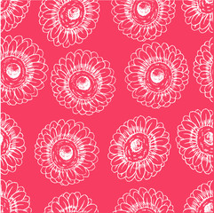 pink blooming gerberas