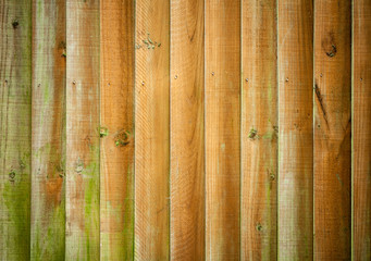 Wooden background texture