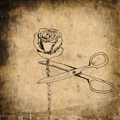 Fototapeta na wymiar Cutting the rose, ink drawing, metaphorical vintage illustration