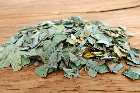 Desmodium,Desmodium adscendens