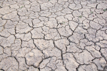 Dry land. Cracked ground background.