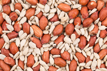Close up of peanuts and sunflower seeds.