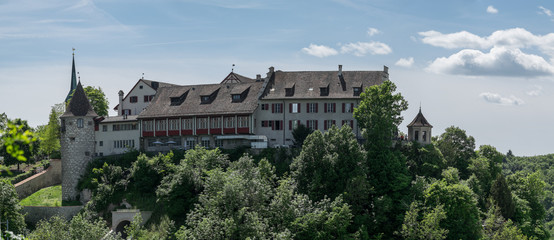 Schloss Laufen Panorama
