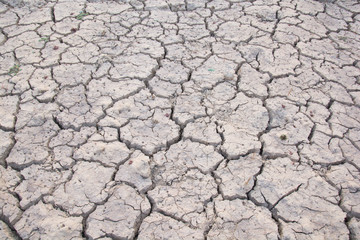 Dry land. Cracked ground background.