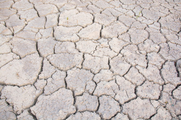 Dry land. Cracked ground background.
