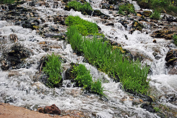 Slovenian water springs in Izborsk