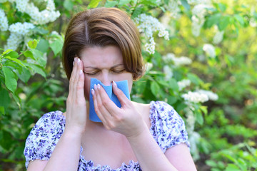 adult female with allergic rhinitis about bird cherry blossoms