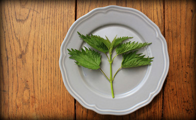 stinging nettle on a plate