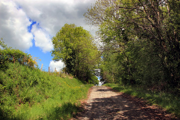 Paysage de campagne.