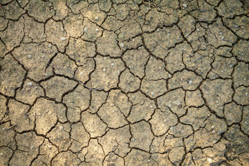 cracked land background
