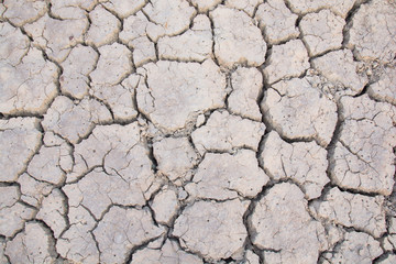 Dry land. Cracked ground background.