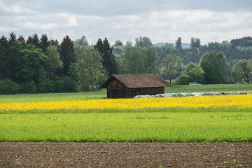 Obraz premium Schuppen